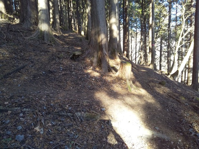   遭難した登山者の踏み跡を辿ってしまうことも。日本の登山道の「迷いやすい地点トップ5」