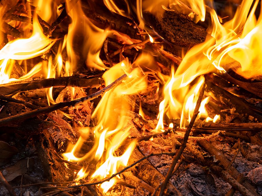   絶対知っておくべき“焚き火の基本”とは？「着火におすすめの薪は…」
