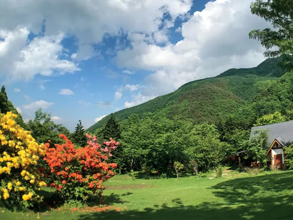   夏でも20℃以下！高原にあるおすすめキャンプ場15選【長野県】