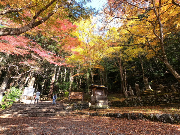   モンベルのスタッフが激推し！紅葉を楽しめるトレッキングコースが絶景すぎる！